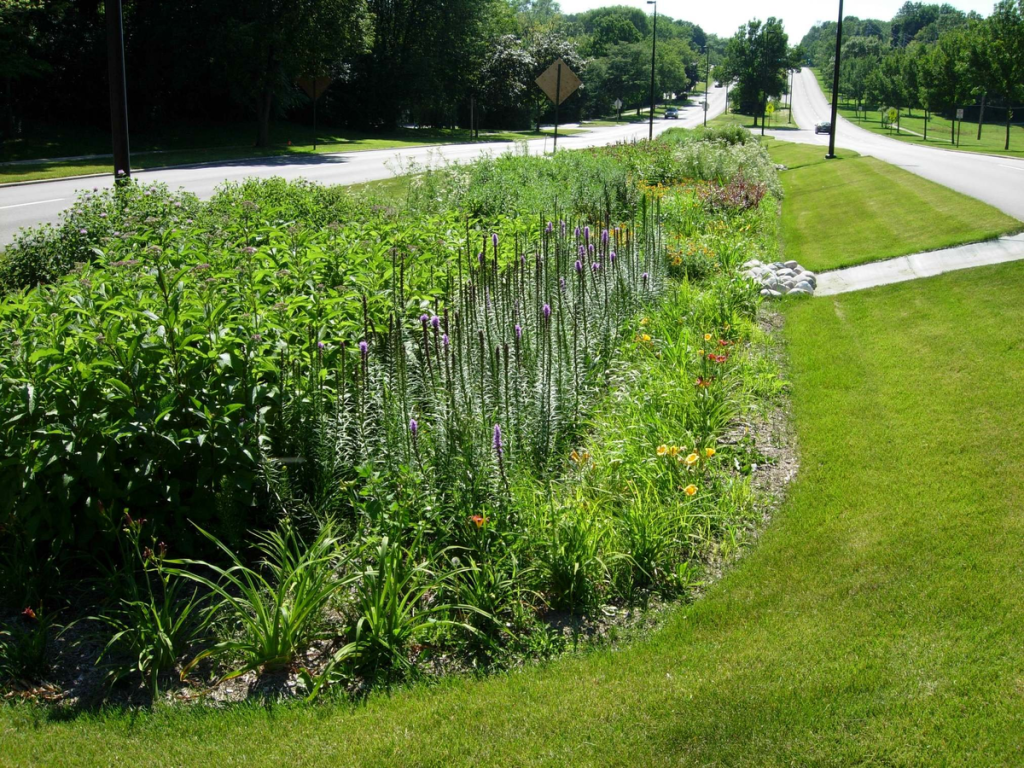 Have More Rain Gardens for stormwater management