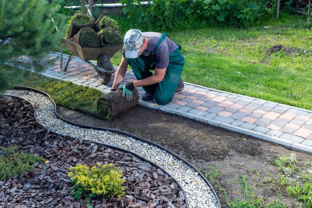 DIY vs. Professional Landscaping Services