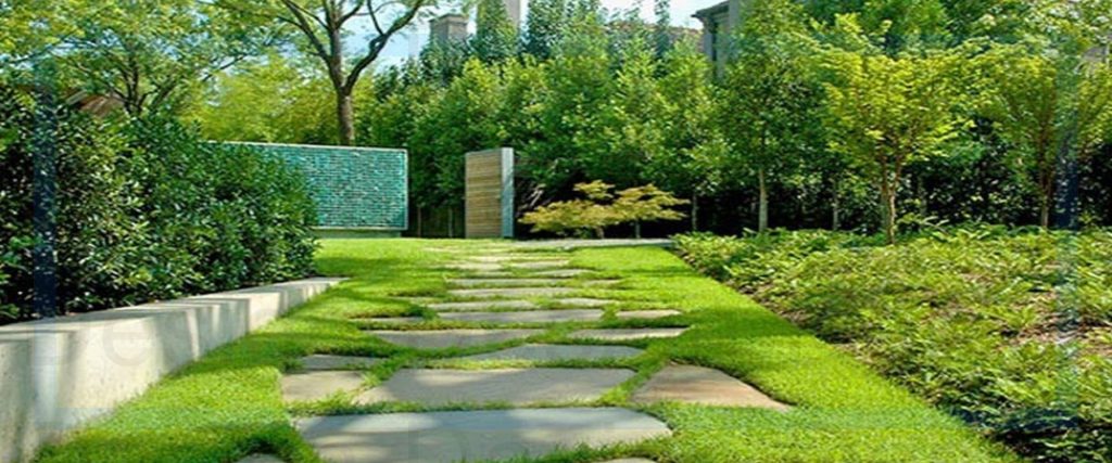 Personalizing Your Landscape