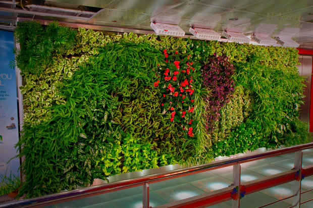 Vertical Gardening