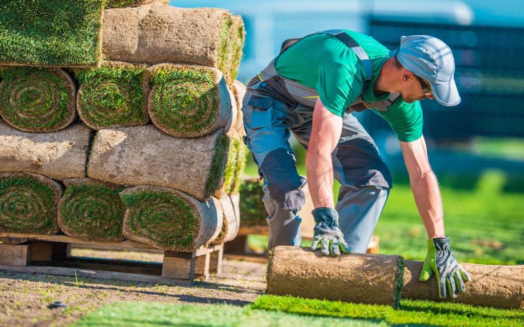 Landscape Grading