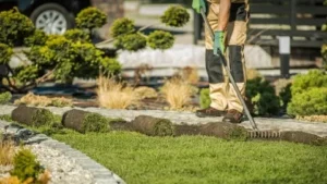 landscaping services