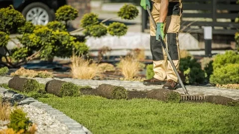 landscaping services
