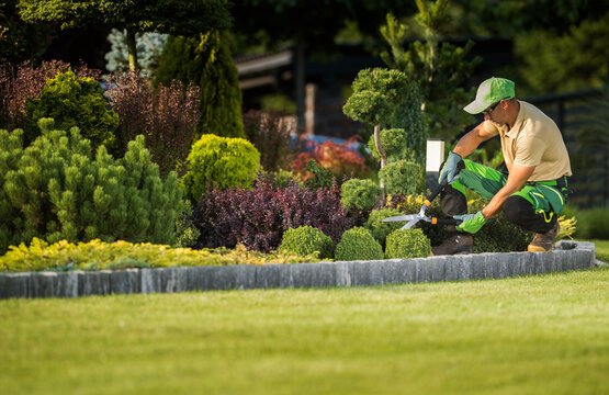 Benefits of Hiring Professional Landscaping Contractors